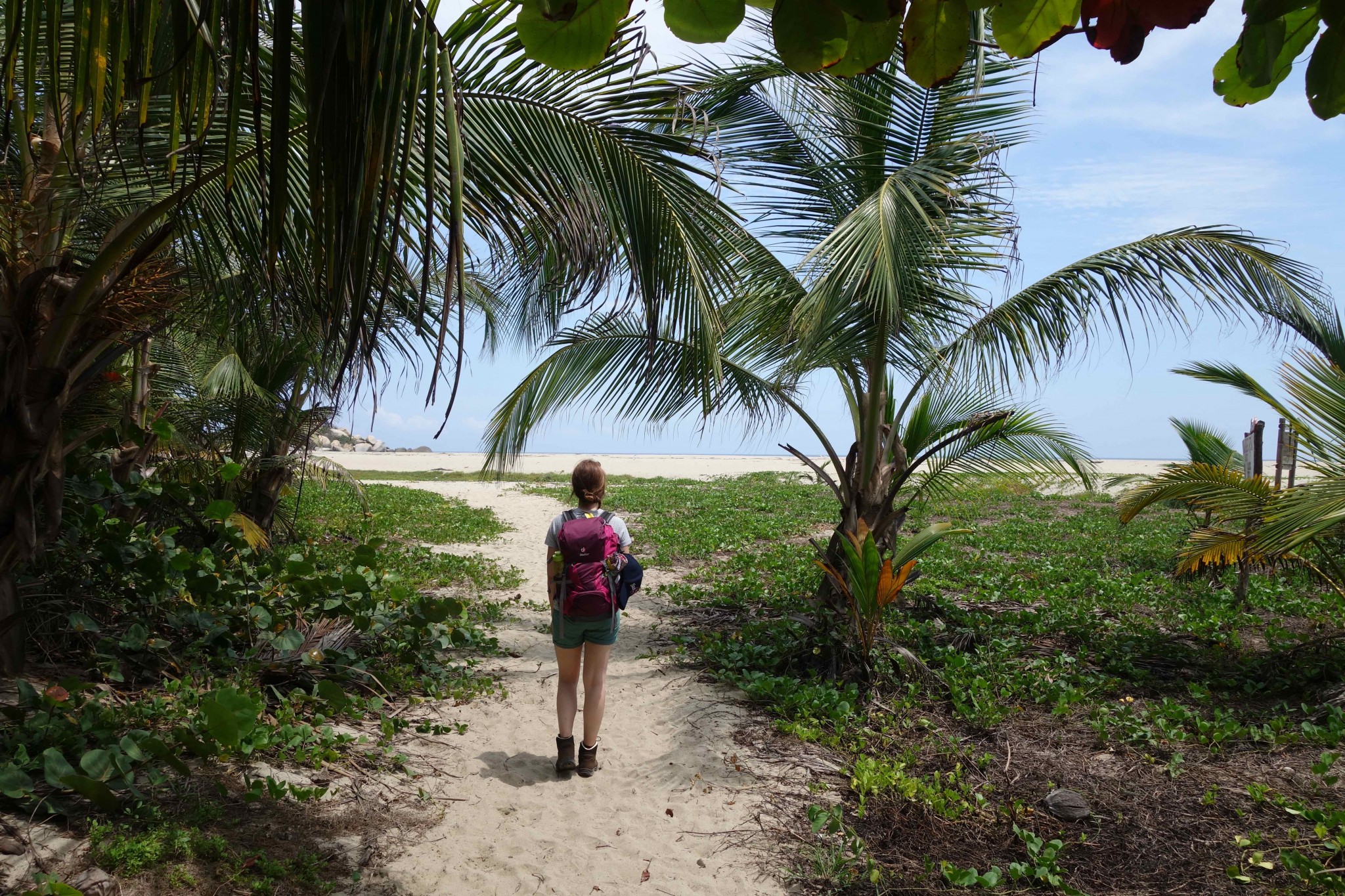 Parque Tayrona zwischen Strand und tropischem Regenwald