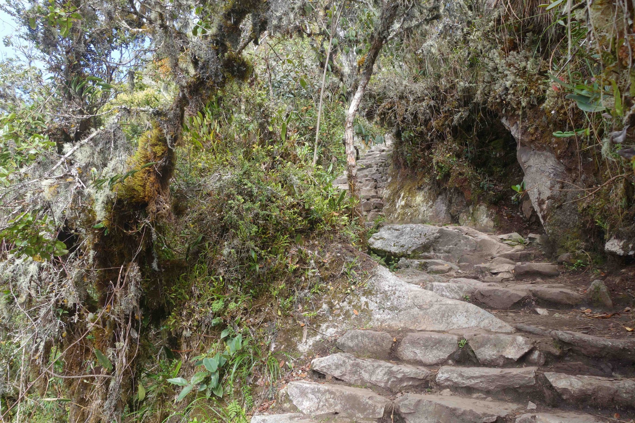 machupicchu_montana_7