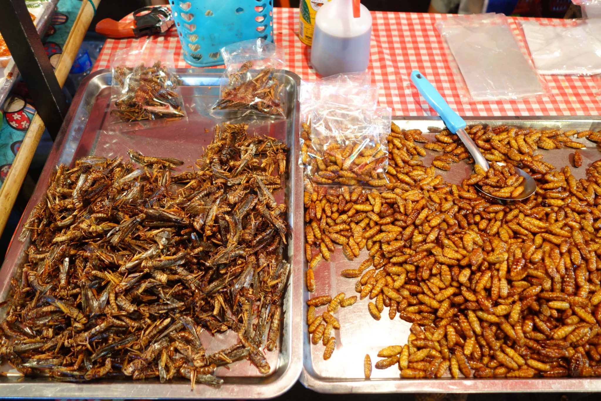 Thailand_SuratThani_Nightmarket_Nachtmarkt_4